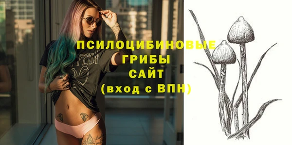 гидропоника Абдулино