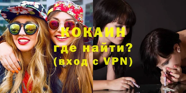 индика Абинск
