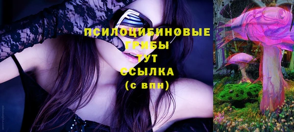 каннабис Ессентукская