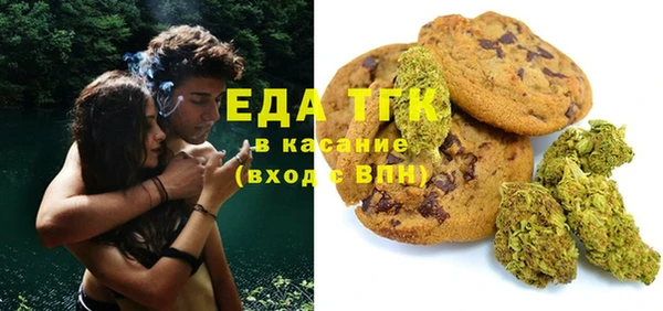 индика Абинск